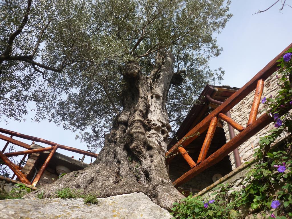 Rocca Del Vento Bed & Breakfast San Pantaleone Dış mekan fotoğraf
