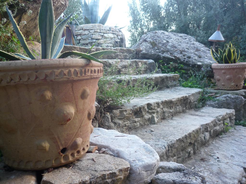 Rocca Del Vento Bed & Breakfast San Pantaleone Dış mekan fotoğraf