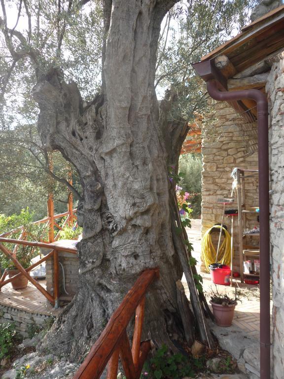 Rocca Del Vento Bed & Breakfast San Pantaleone Dış mekan fotoğraf