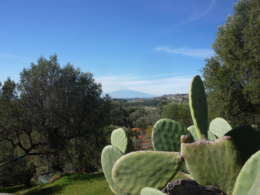 Rocca Del Vento Bed & Breakfast San Pantaleone Dış mekan fotoğraf