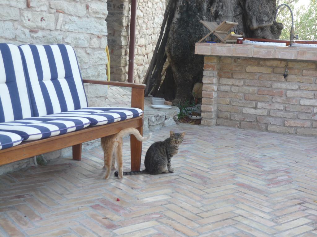 Rocca Del Vento Bed & Breakfast San Pantaleone Dış mekan fotoğraf